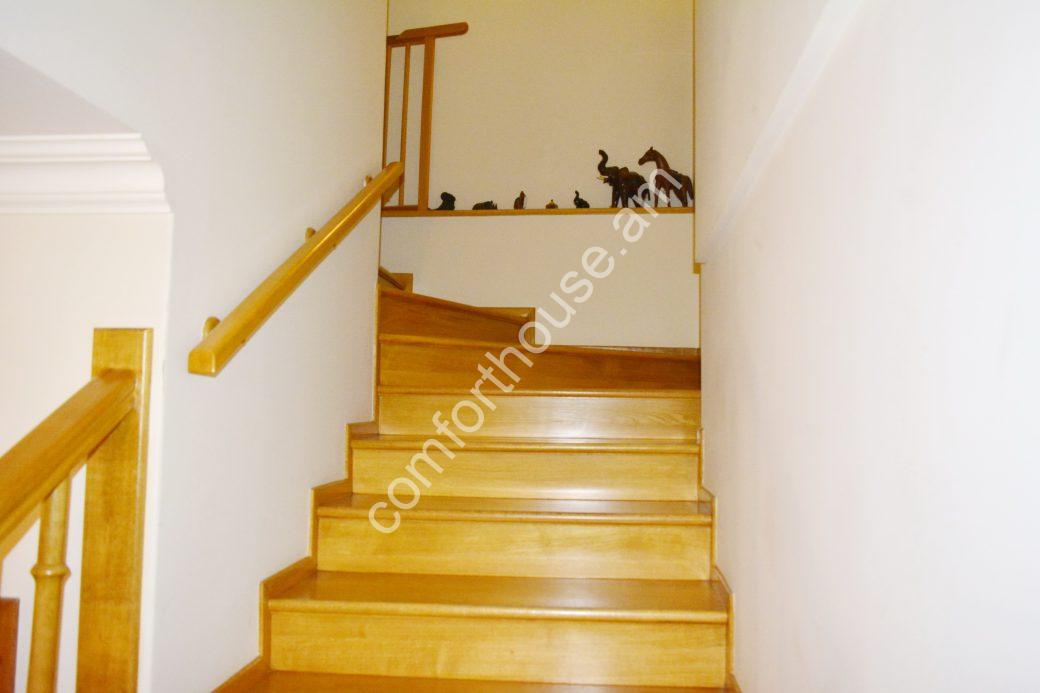 _DSC4156_новый размер