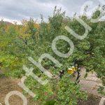 0-02-05-54ab16922111118086998feaf2c27ffd53dc6294087c06971e537dddc65439ca_ef7a6d9c