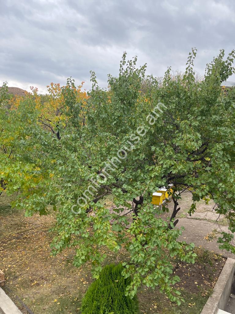 0-02-05-54ab16922111118086998feaf2c27ffd53dc6294087c06971e537dddc65439ca_ef7a6d9c