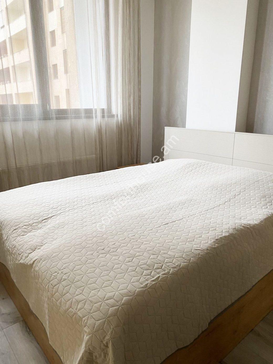 изображение_viber_2023-01-27_15-00-27-686