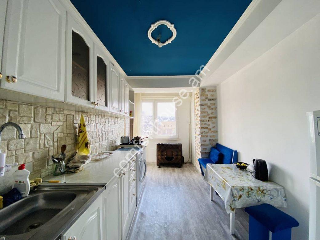 viber_image_2023-03-20_11-28-49-007