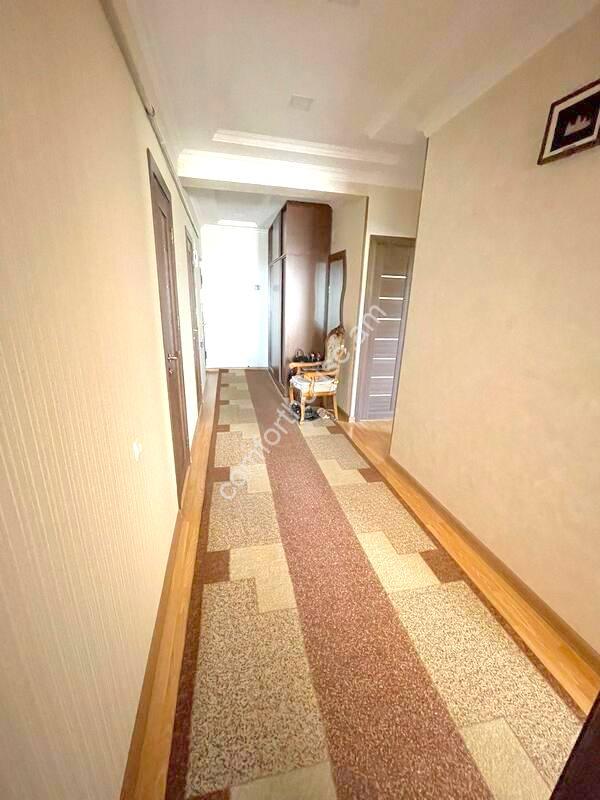 viber_image_2023-07-27_11-44-25-540