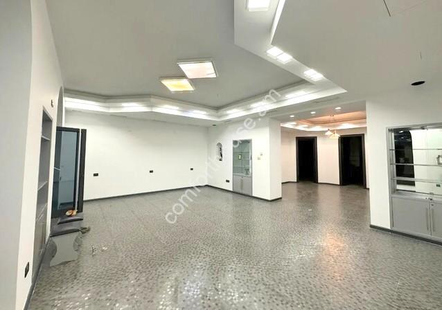 viber_image_2023-08-03_13-50-55-148