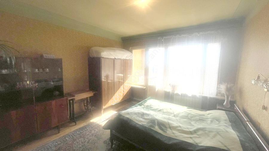 изображение_viber_2023-11-13_13-09-44-709