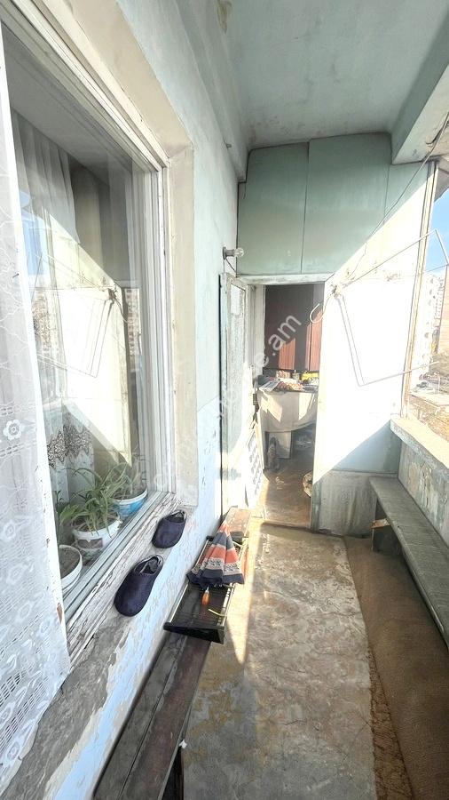 изображение_viber_2023-11-13_13-55-46-383