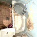 изображение_viber_2023-11-13_13-55-48-963