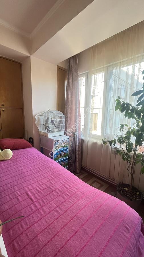 изображение_viber_2023-12-01_12-53-37-241