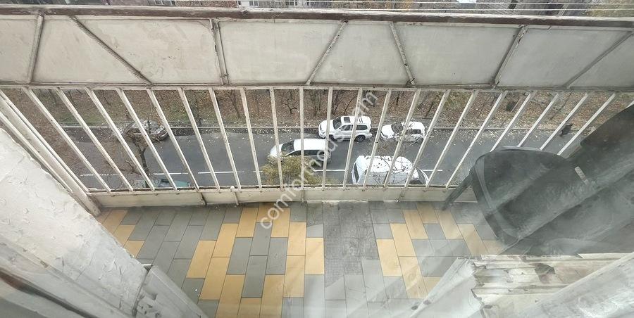 изображение_viber_2023-12-05_20-38-14-446