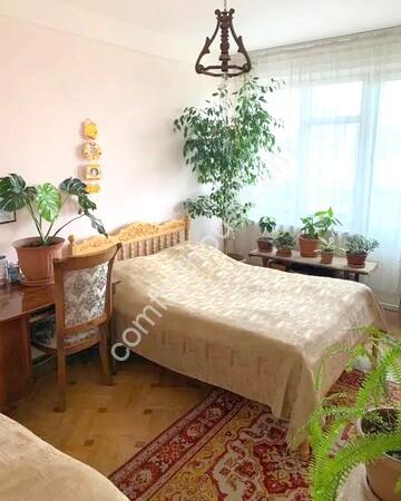 изображение_viber_2023-12-05_20-38-24-494