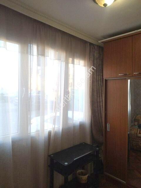 изображение_viber_2023-12-28_11-43-04-803