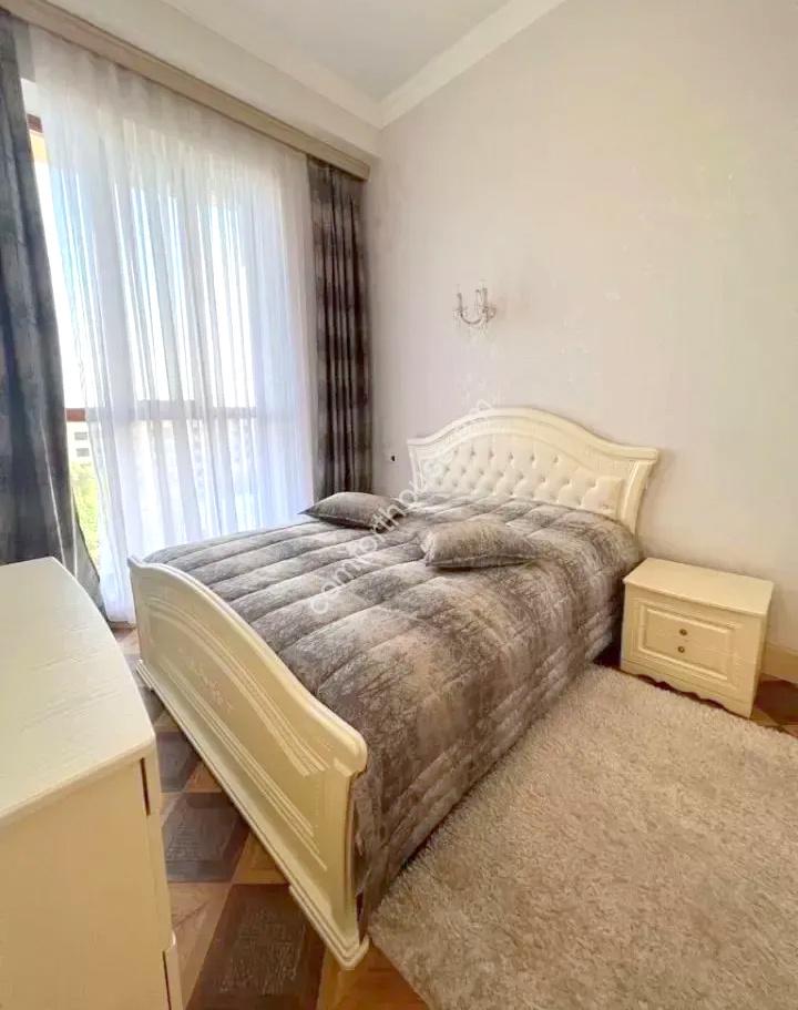 изображение_viber_2024-01-12_12-59-14-842