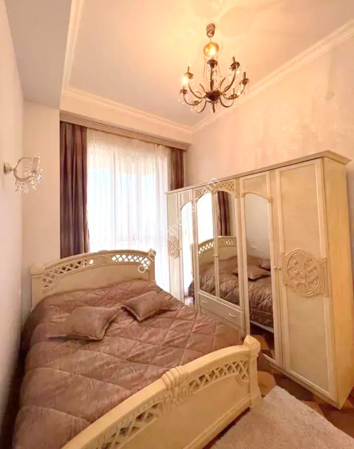 изображение_viber_2024-01-12_12-59-15-480