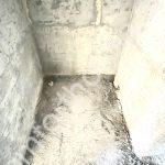 изображение_viber_2024-03-29_13-02-19-931