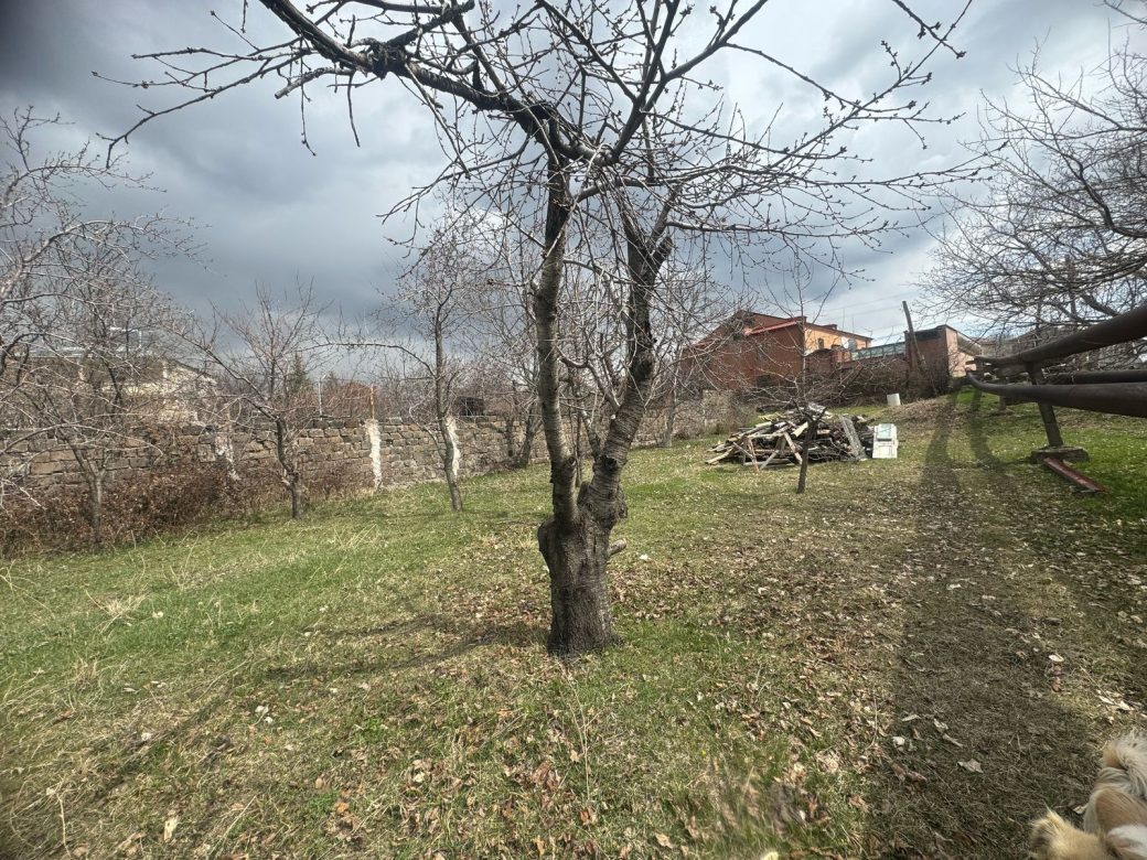 0-02-05-dd6b71868ed4f3fce4ff5f3f032081436a481f5e8fafc2724fc9d224d488cc73_45b2ba890ff8734