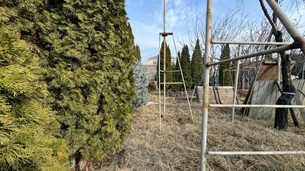 0-02-05-0f22c438160ec8b07cb2c03900beeddefbf976a7b9423a57926ba1d90f371cb3_1e1478e9c7e5fd5a