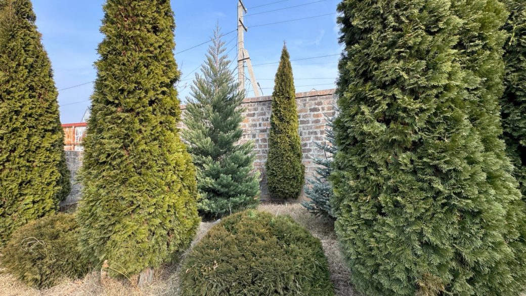 0-02-05-1a793b5003dc7ddf812c86df9288595e07afc35201e1ed70b469c0745bf21559_5e23e8ac7094933