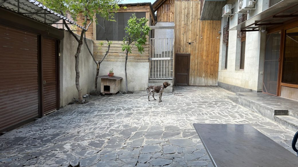 0-02-05-1d5ee68c48ffc0a6c81e08fec4f6c5c09d812b260c1e2bcc8278f89e8b237937_c321902c6c7d5253