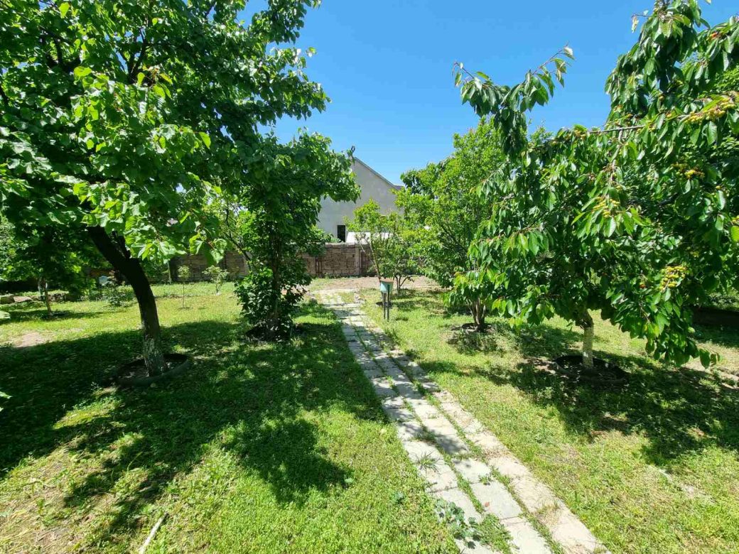 0-02-05-f5b6cc31fcf55f8f7084f5d0242d9bd3f0d052a9197e32af8363e96396cd0f3a_e450e1015b50776e