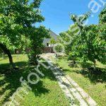 0-02-05-f5b6cc31fcf55f8f7084f5d0242d9bd3f0d052a9197e32af8363e96396cd0f3a_e450e1015b50776e