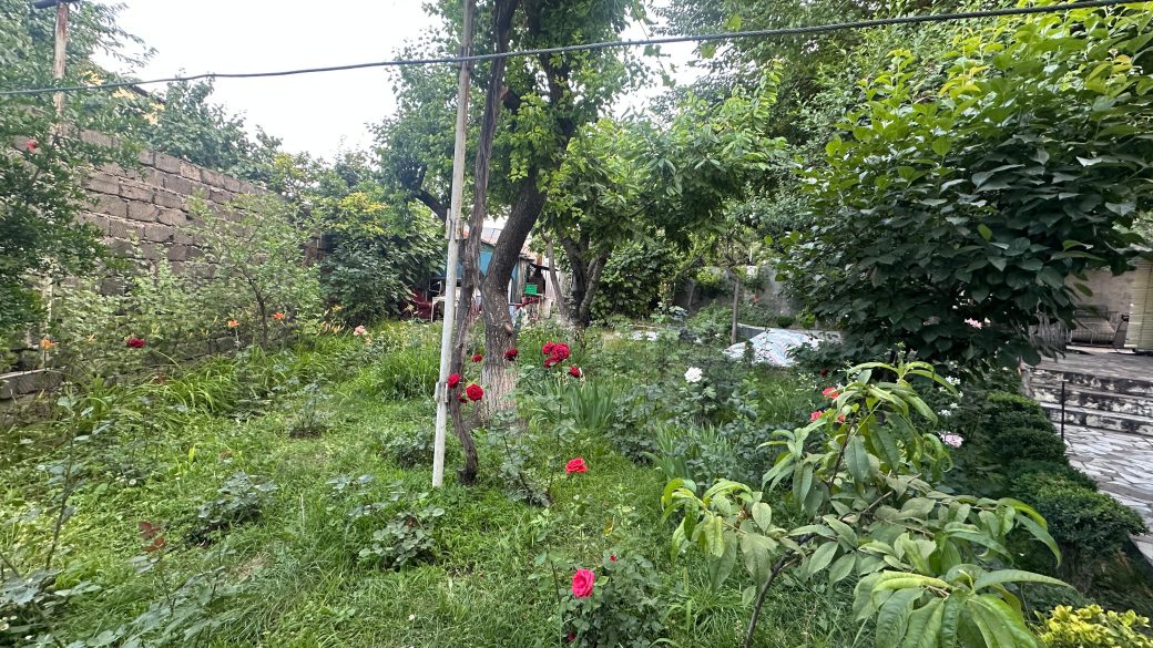 WhatsApp Image 2025-06-17 at 11.52.46 (1)