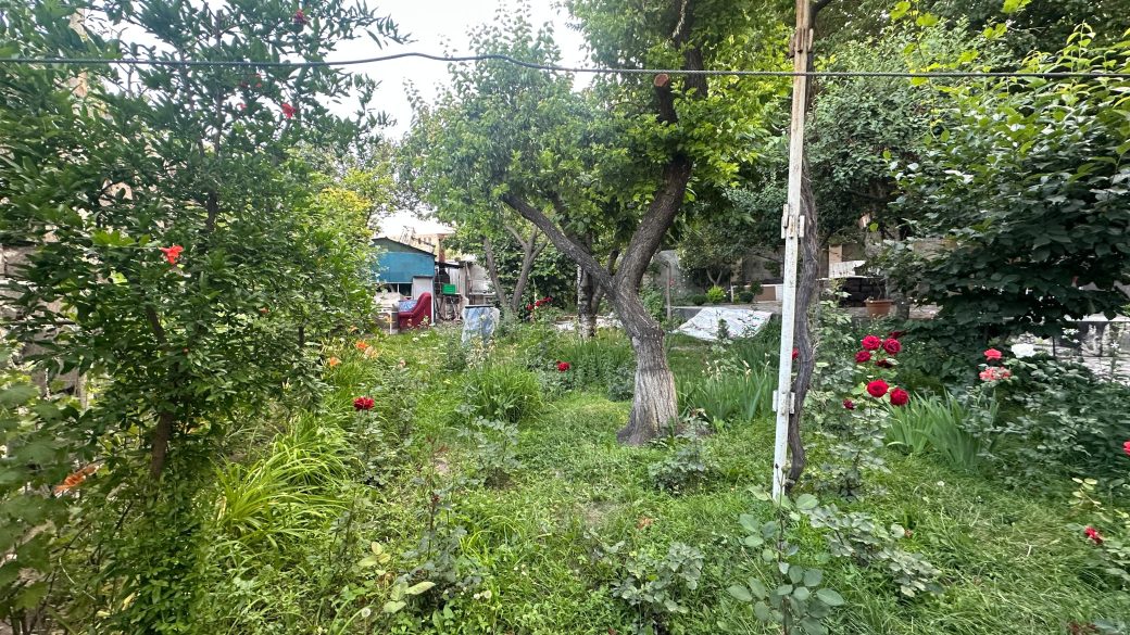 WhatsApp Image 2025-06-17 at 11.52.46