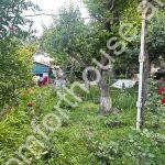 WhatsApp Image 2025-06-17 at 11.52.46