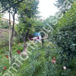 WhatsApp Image 2025-06-17 at 11.52.47 (16)