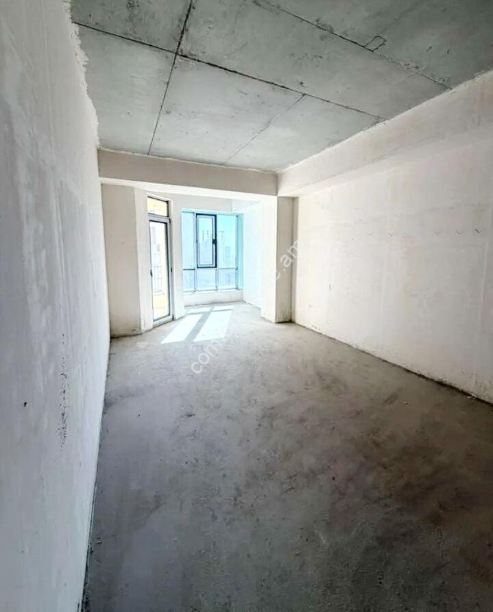 Без названия (1)