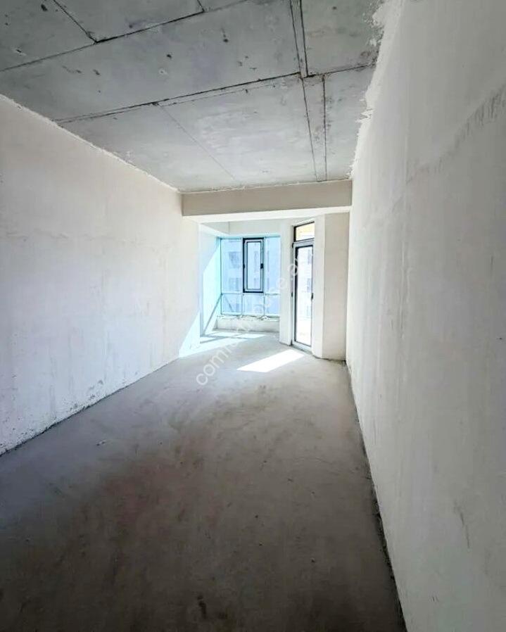 Без названия (2)