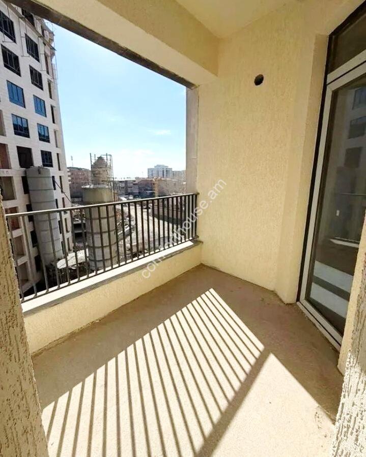 Без названия (4)