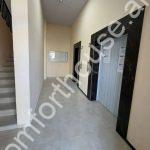 Без названия (5)