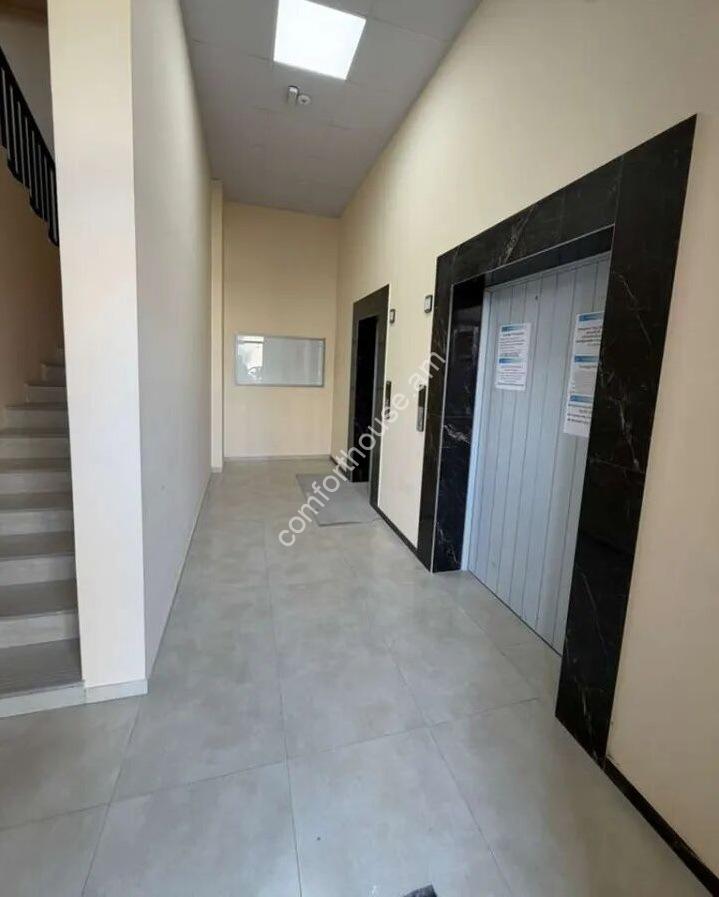 Без названия (5)