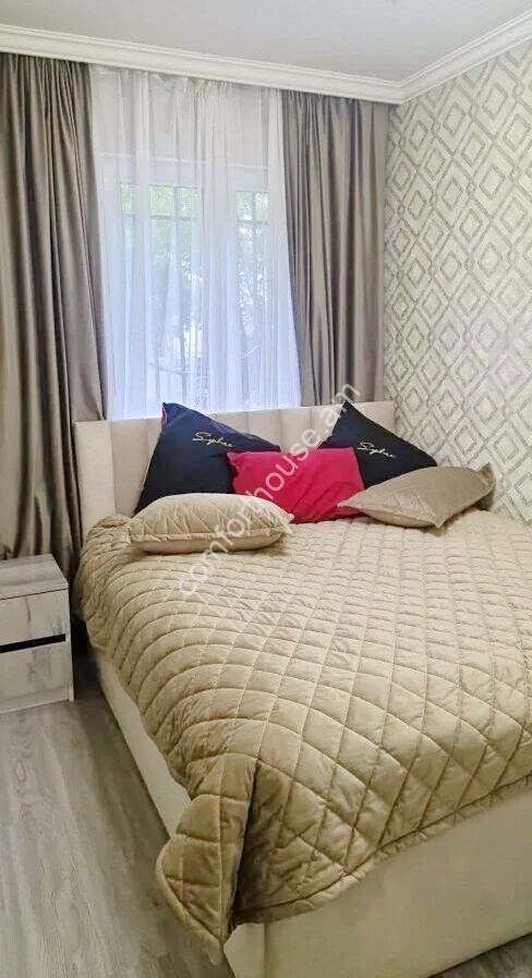 452611-3211609-crop