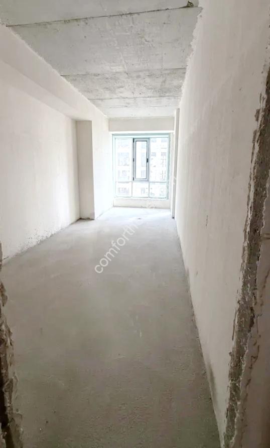 90741517
