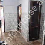 453397-3223161-crop