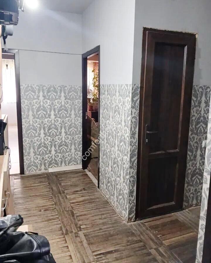 453397-3223161-crop