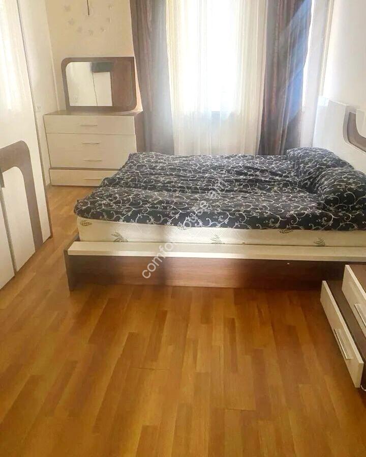 453467-3224338-crop