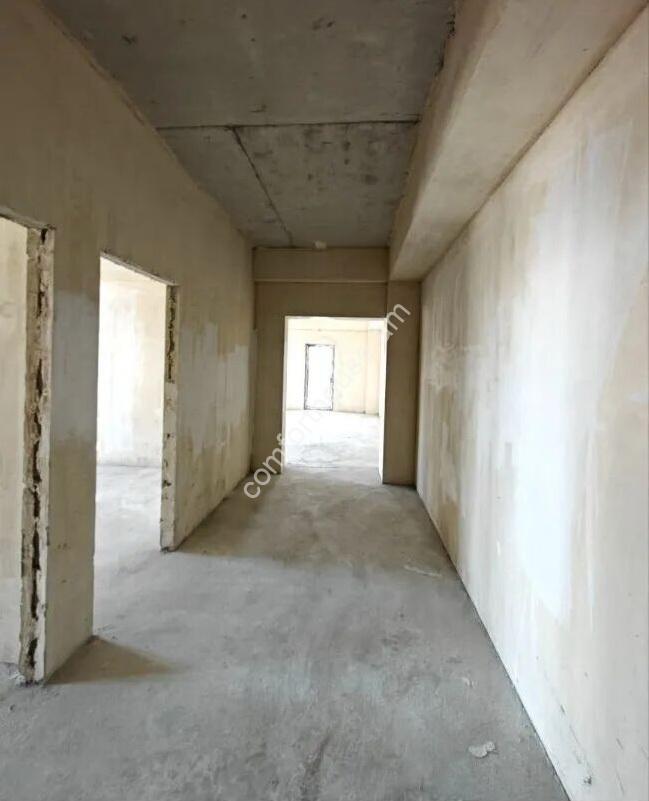 455067-3249464-crop