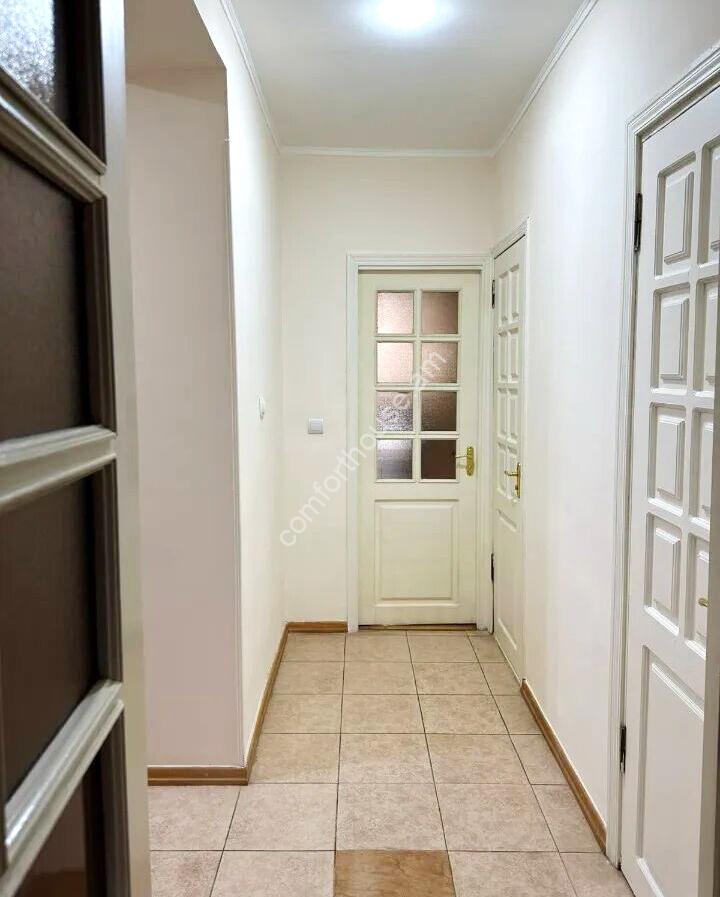 455426-3254566-crop