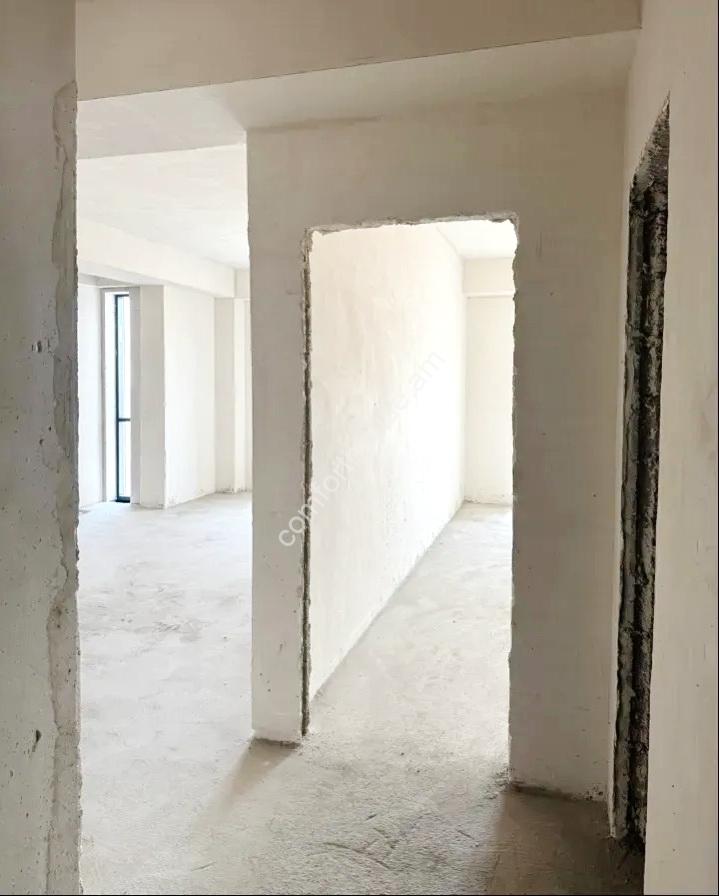 98708781