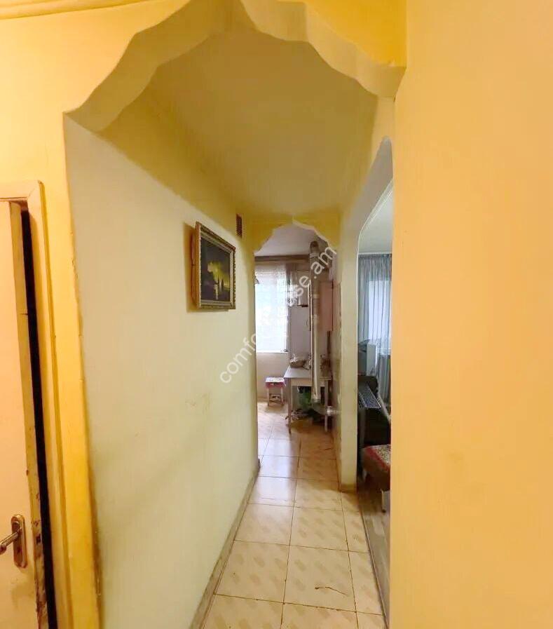 460978-3335753-crop