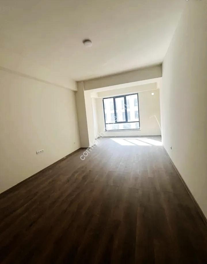 91148696
