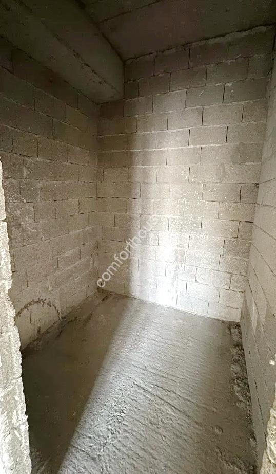 100983201