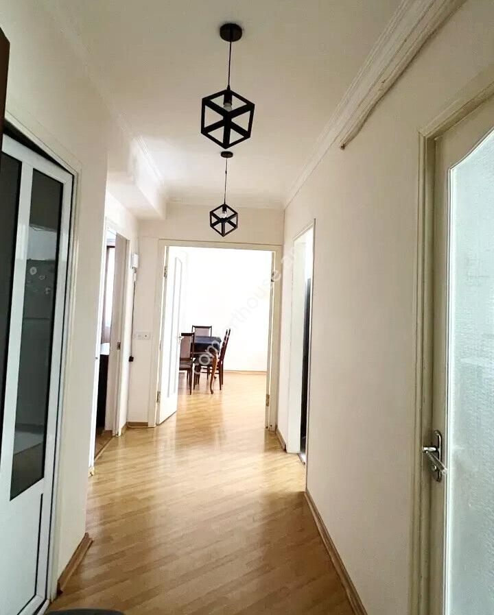 463440-3373178-crop