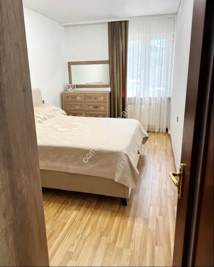463485-3373686-crop