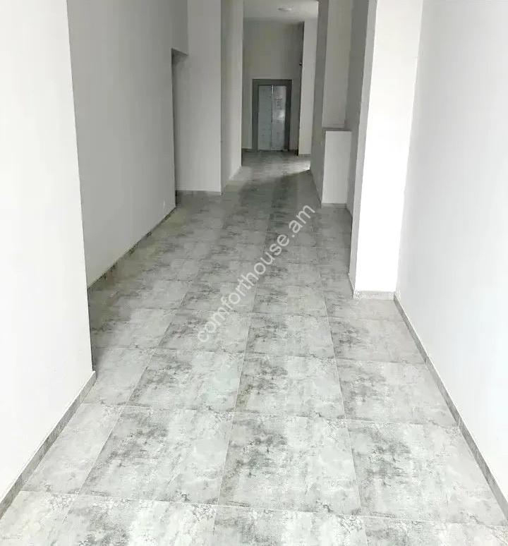 96844532