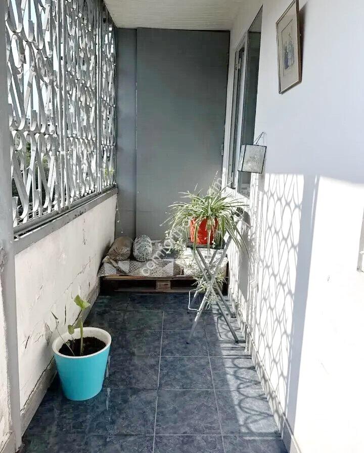 465387-3401810-crop